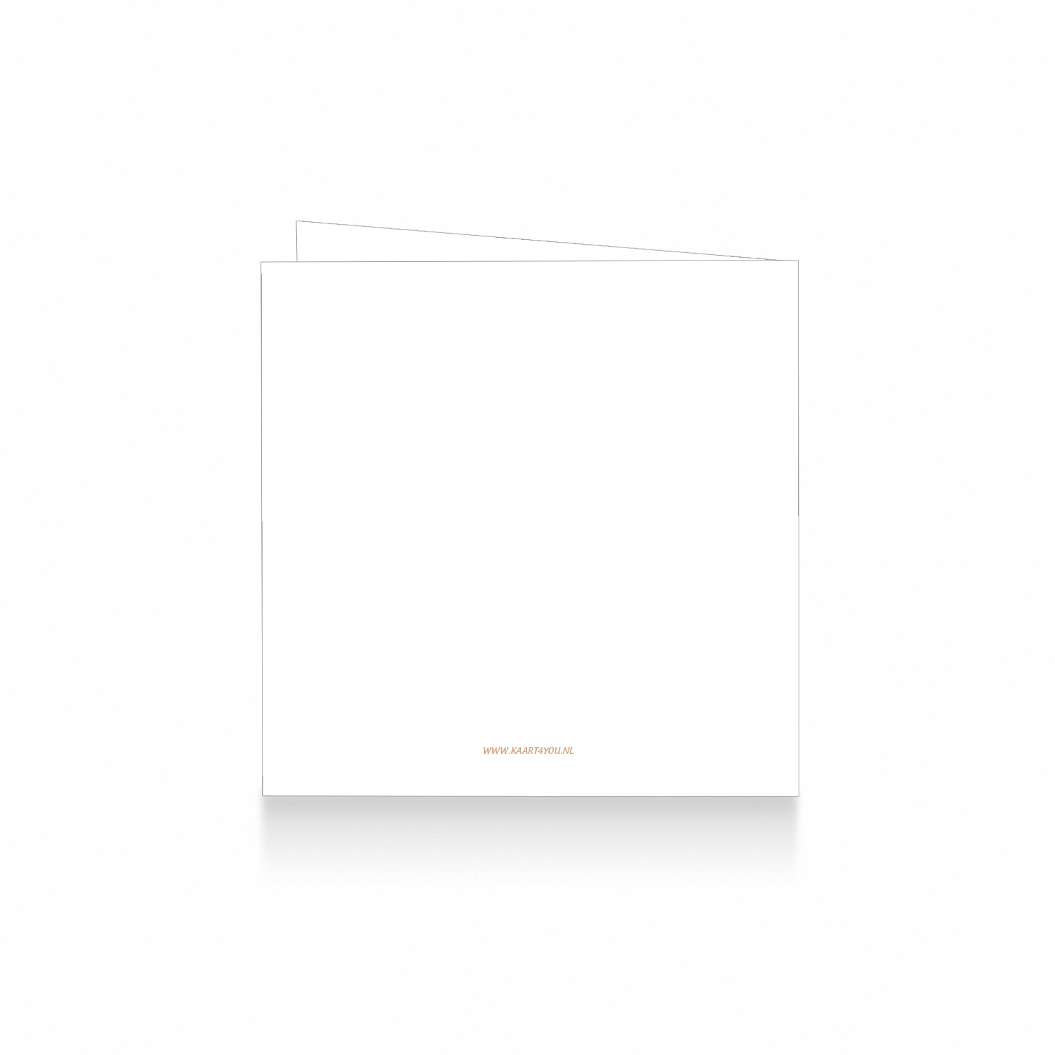 118m-achterk-y3c4e6b2