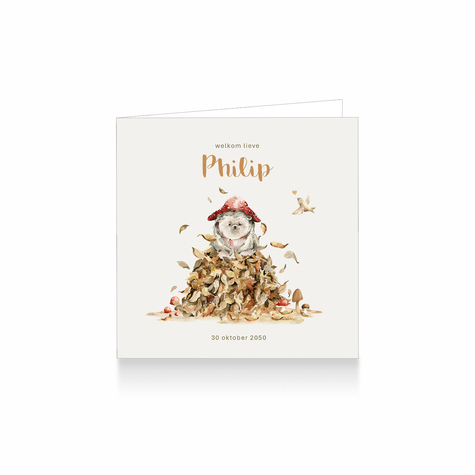 2278-Vrolijk aquarel herfst geboortekaartje voor een jongen. Op dit leuke kaartje zie je een egeltje met een paddenstoel hoedje in waterverf geschilderd tussen een hoop herfst bladeren en paddestoelen  op een grijs beige achtergrond met vogeltje.