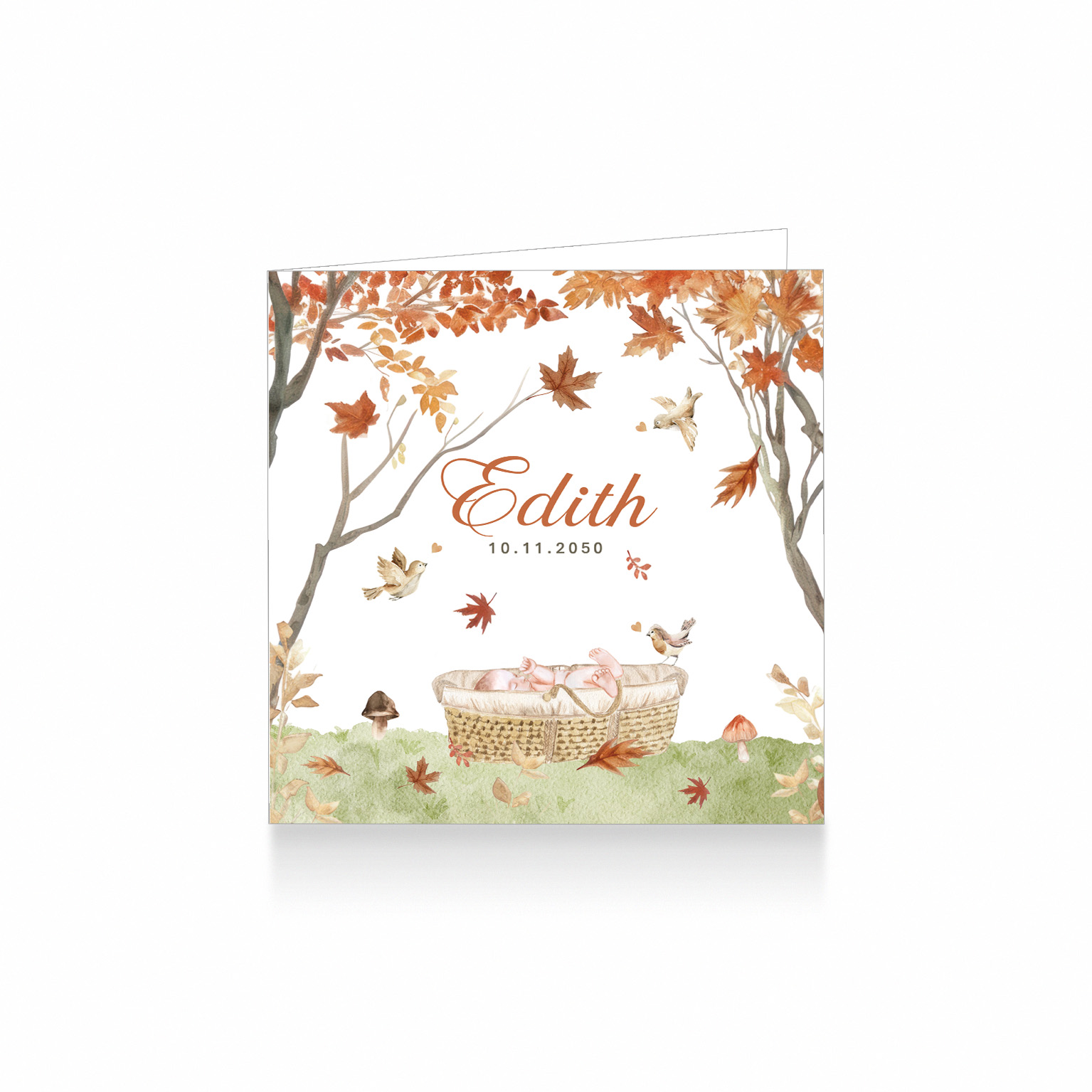 2279-Een schattig aquarel herfst geboortekaartje voor een meisje met een rotan mand met baby tussen herfst bomen, takjes, blaadjes, paddenstoelen en vogeltjes in prachtige herfst kleuren.